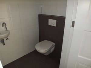 Toilet met donkere achterwand